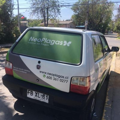 ROTULADO VEHICULAR-FIAT 1
